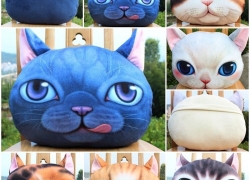 3D Plüsch Kissen/Dekokissen „Katze“ ab 5,23€ inkl. Versand