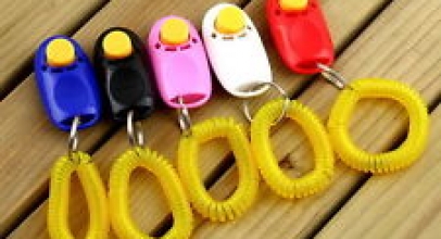 Hundetrainer/Clicker für 1,00€ inkl. Versand