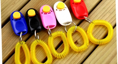 Haustier Trainings-Clicker mit Schlüsselring und Armband für 1,00€ inkl. Versand