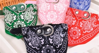 Hunde Halsband mit Dreieck-Tuch für 1,42€ inkl. Versand