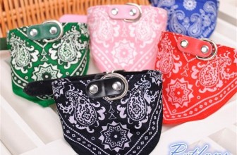 Hunde Halsband mit Dreieck-Tuch für 1,42€ inkl. Versand