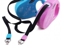 3m Hunde-Rollleine  für 5,69€ inkl. Versand