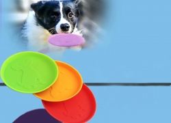 Hundespielzeug Frisbee für 1,00€ inkl. Versand