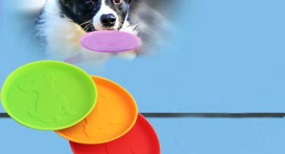 Hundespielzeug Frisbee für 1,00€ inkl. Versand