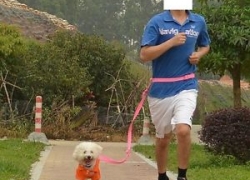 1 x Hundeleine Bauch-/Jogging-Leine für 6,68 Euro inklusive Versand