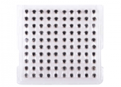 100x SR626SW AG4 377 LR626 1.55V Alkaline Knopfzelle für 1,99€ inkl. Versand