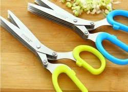 Edelstahl 5-fach Schredder Schere/Kräuterschere mit Abstreifer für 3,39€ inkl. Versand