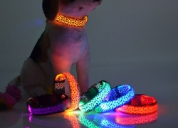 LED Leopard Nylon Hundehalsband für 1,58€ inkl. Versand