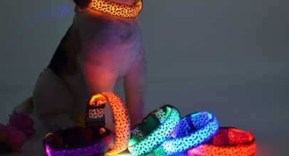 LED Leopard Nylon Hundehalsband für 1,58€ inkl. Versand