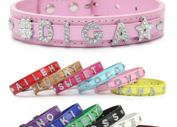 Bling Strass Haustier Halsband – verschiedene Größen und Motive mit 89% Rabatt!