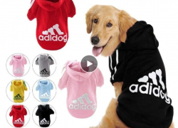 Hund Adidog Hoodie Sweatshirt – verschiedene Größen und Farben ab 0,47€!