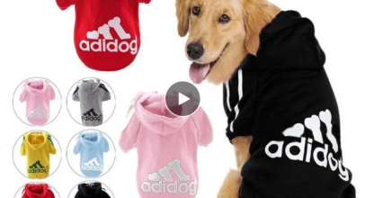 Hund Adidog Hoodie Sweatshirt – verschiedene Größen und Farben ab 0,47€!