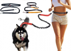 Strapazierfähige elastische Nylon-Hundeleine mit bequemem Griff – Joggingleine mit Bauchgurt mit 86% Rabatt inkl. Versand!