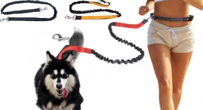 Strapazierfähige elastische Nylon-Hundeleine mit bequemem Griff – Joggingleine mit Bauchgurt mit 86% Rabatt inkl. Versand!