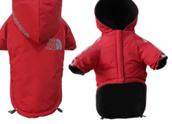 Wasserdichte Hunde Fleece Kleidung – Reflektierender Pet Mantel für kleine bis mittelgroße Hunde ab 2,29€ inkl. Versand!