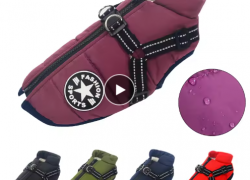 Winter warme Hundejacke mit Geschirr wasserdicht – verschiedene Größen und Farben ab 2,49€ inkl. Versand!