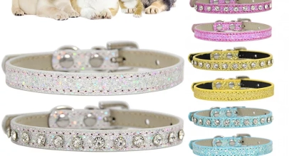Hunde/Welpen/Katzen PU-Leder Halsband mit einer Reihe Strass-Steinen ab 2,87€ inkl. Versand!